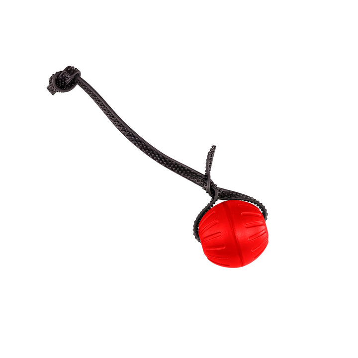 Discount Training Balls