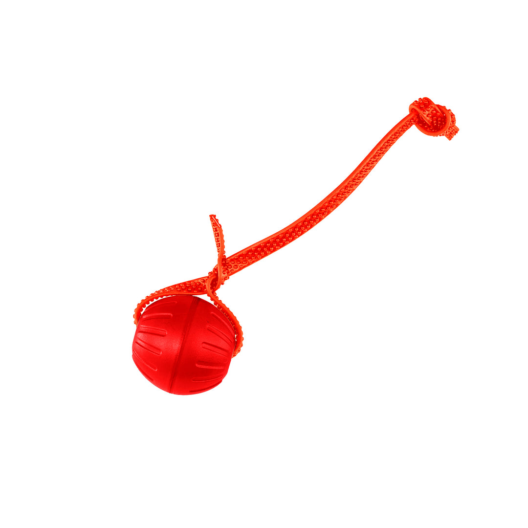 Discount Training Balls