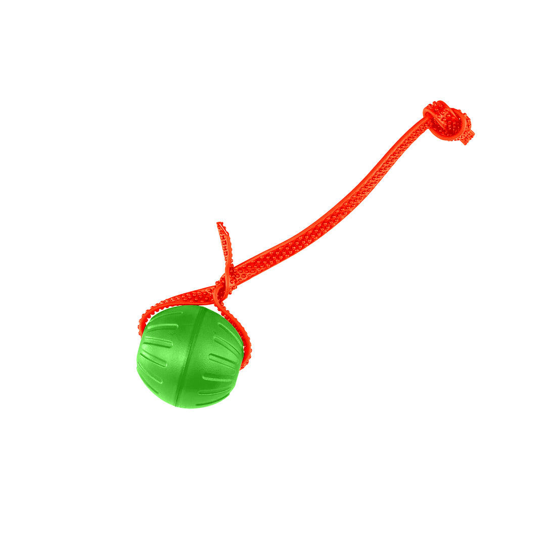 Discount Training Balls