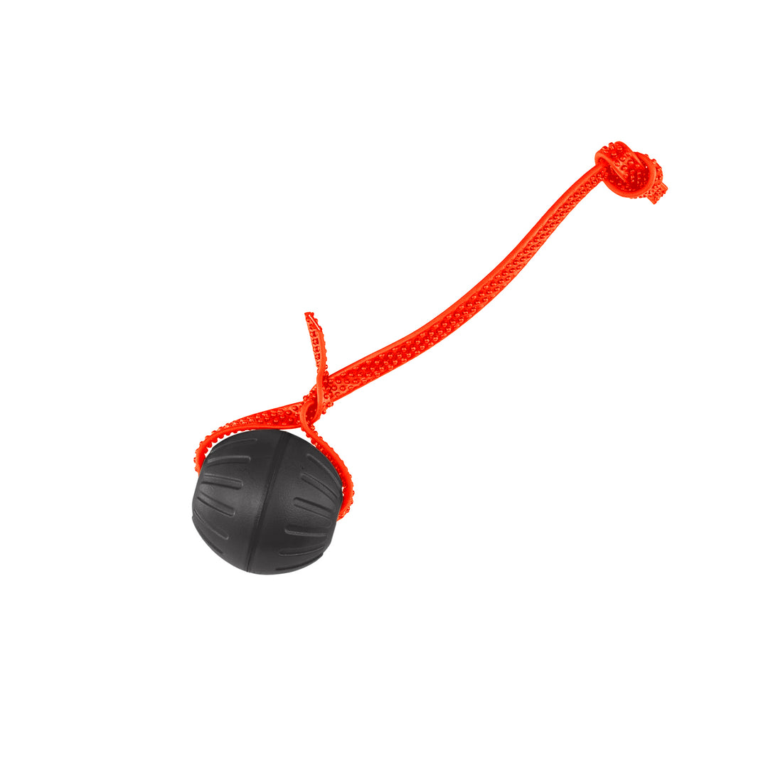 Discount Training Balls