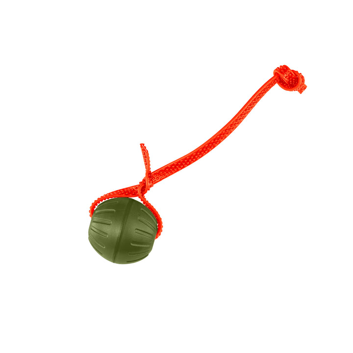 Discount Training Balls