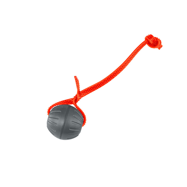 Discount Training Balls