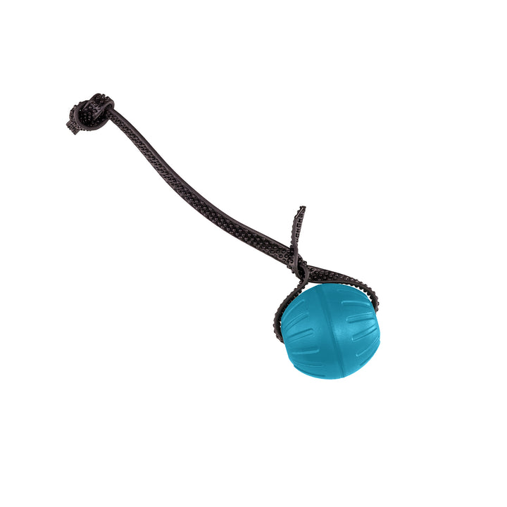 Discount Training Balls