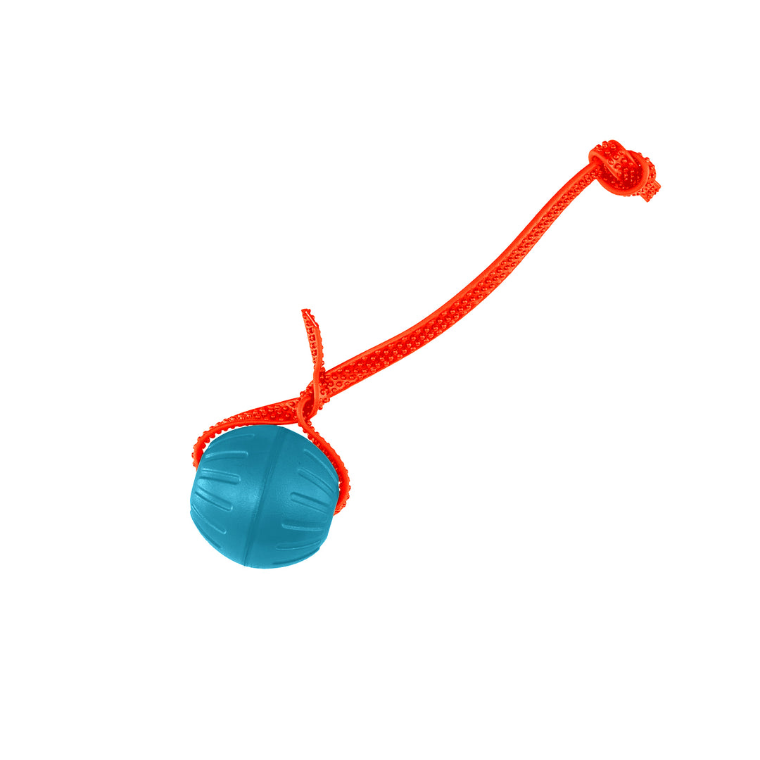 Discount Training Balls