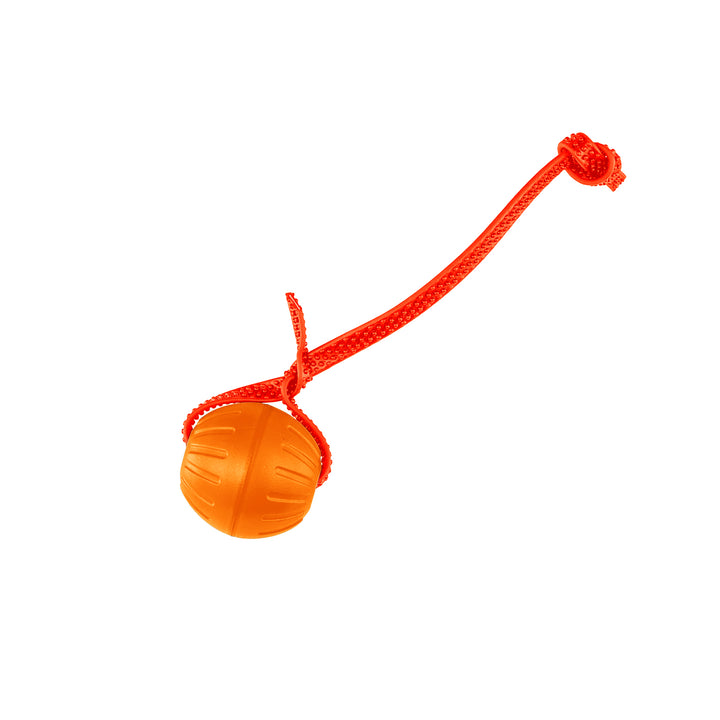 Discount Training Balls