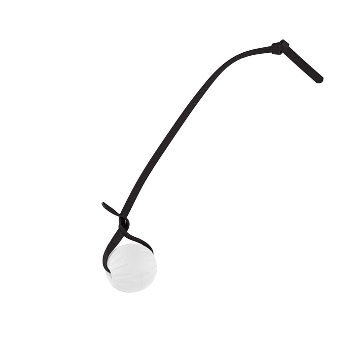 Discount Training Balls