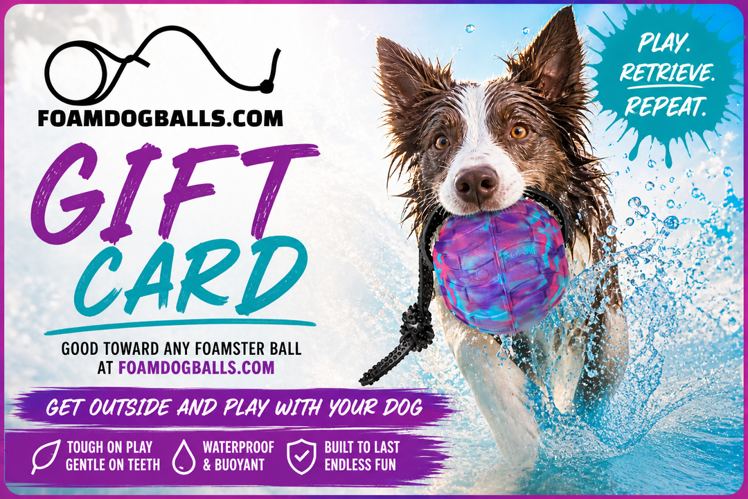 Foam Dog Ball Gift Card