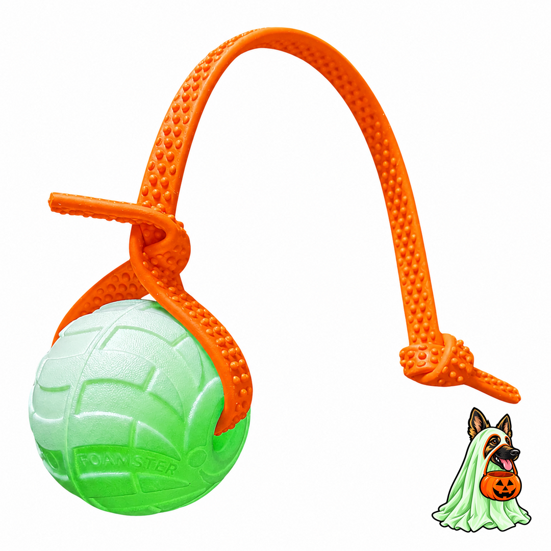 Spooky Balls Combo Pack 2026